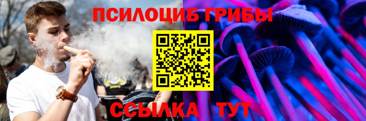 Приморско-Ахтарск  Галлюциногенные грибы Psilocybine cubensis  Вход с VPN 